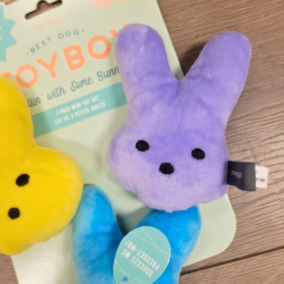 Chillin' with Some Bunnies Squeak Dog Toy Set, X-Small, Pack of 3 - Picture 2 of 4